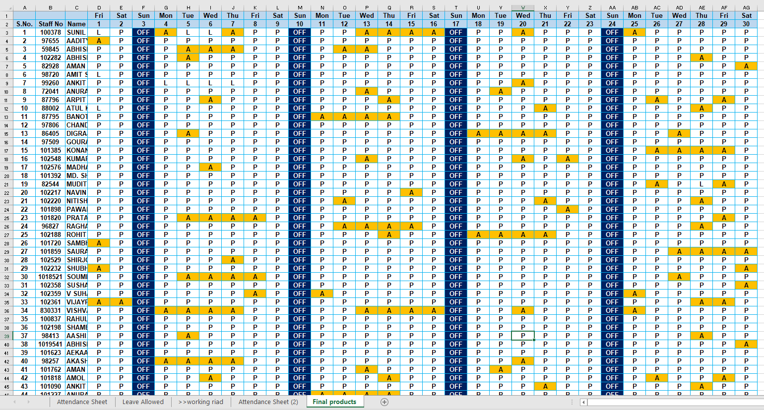 Excel Project